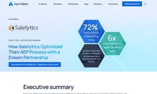 Preview of the Salelytics Case Study