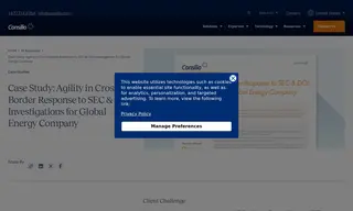Preview of the Global Oil Services Company Case Study