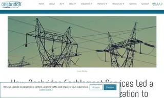 Preview of the Market Leading Electric Organization Case Study