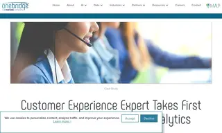 Preview of the Confidential Client - Customer Experience Case Study
