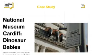 Preview of the National Museum Cardiff Case Study