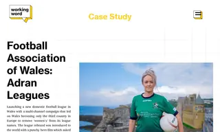Preview of the Football Association of Wales Case Study