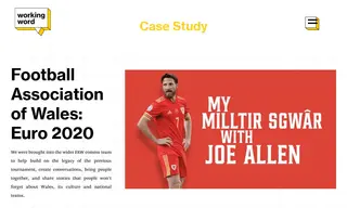 Preview of the Football Association of Wales Case Study