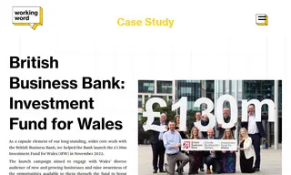 Preview of the British Business Bank Case Study