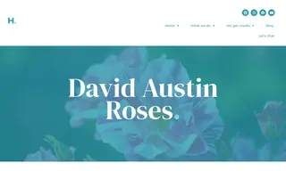 Preview of the David Austin Roses Case Study