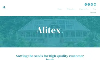 Preview of the Alitex Case Study