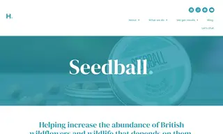 Preview of the Seedball Case Study