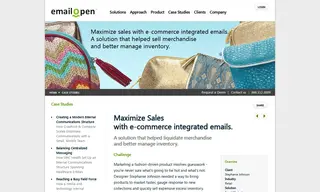 Preview of the Mark Case Study