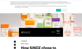 Preview of the SiNOZ Cosmetics Case Study