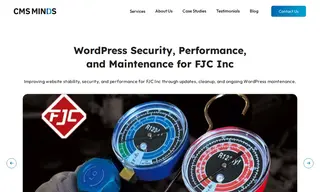Preview of the FJC Inc Case Study