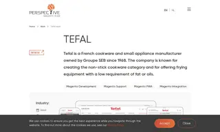 Preview of the Tefal Case Study