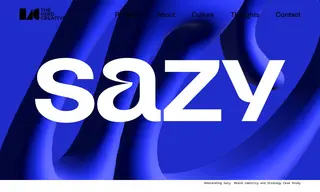 Preview of the Sazy Case Study