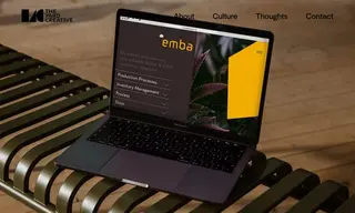 Preview of the Nefos Case Study