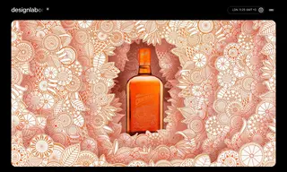 Preview of the Cointreau Case Study