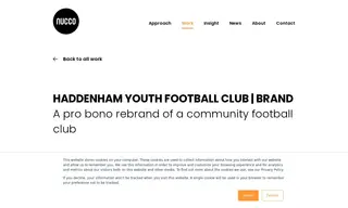 Preview of the Haddenham Youth Football Club Case Study