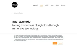 Preview of the RNIB Case Study