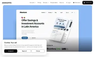 Preview of the Mentum Case Study