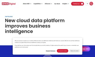Preview of the CapitalRise Case Study