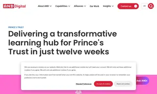 Preview of the Prince's Trust Case Study