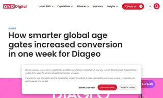 Preview of the Diageo Case Study