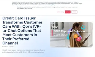 Preview of the Leading U.S.-based Credit Card Issuer Case Study
