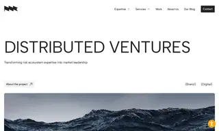 Preview of the Distributed Ventures Case Study