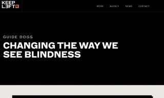 Preview of the Guide Dogs NSW/ACT Case Study