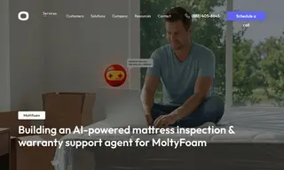 Preview of the Moltyfoam Case Study
