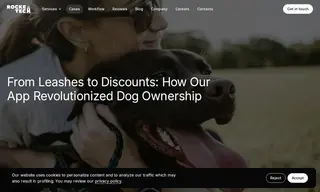 Preview of the Lev Case Study