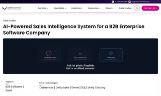 Preview of the B2B Enterprise Software Company Case Study