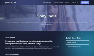 Preview of the Sony India Case Study