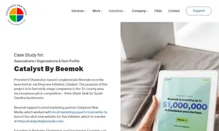 Preview of the Beemok Case Study
