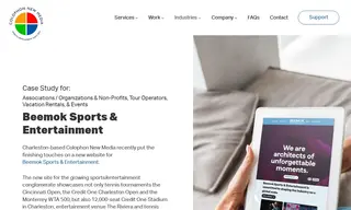 Preview of the Beemok Sports & Entertainment Case Study