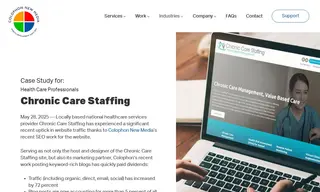 Preview of the Chronic Care Staffing Case Study
