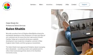 Preview of the Salon Shahin Case Study