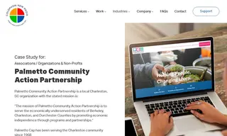 Preview of the Palmetto Community Action Partnership Case Study