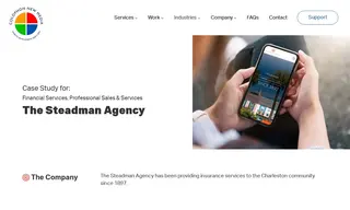 Preview of the The Steadman Agency Case Study