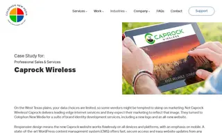 Preview of the Caprock Wireless Case Study