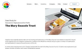 Preview of the The Mary Seacole Trust Case Study