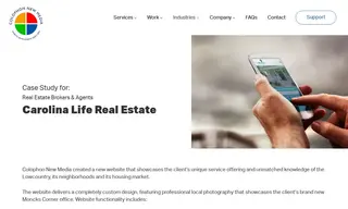 Preview of the Carolina Life Real Estate Case Study
