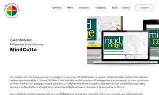 Preview of the MindCette Case Study