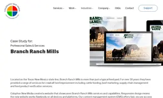 Preview of the Branch Ranch Mills Case Study