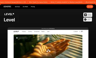 Preview of the LEVEL Case Study