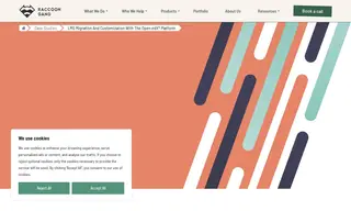 Preview of the Asociatia Techsoup Case Study