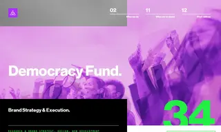 Preview of the Democracy Fund Case Study