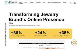 Preview of the Allurz Case Study