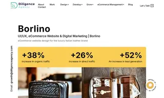 Preview of the Borlino Case Study