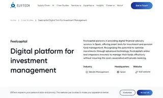 Preview of the Feelcapital Case Study