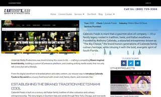 Preview of the Caliendo Foods Case Study