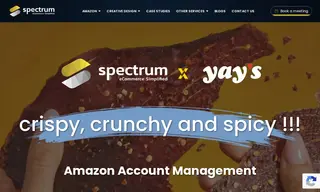 Preview of the Yays Snacks Case Study